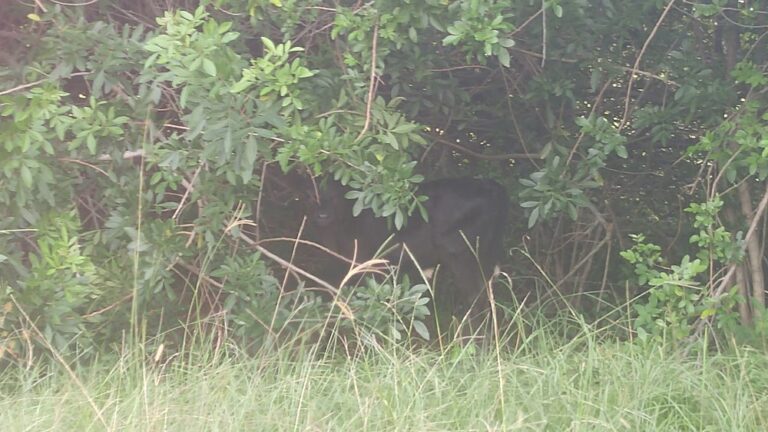 Brian Winders Lawn Care & Tractor Service Dba