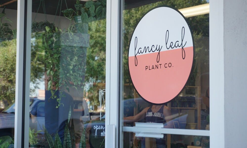 Fancy Leaf Plant Co