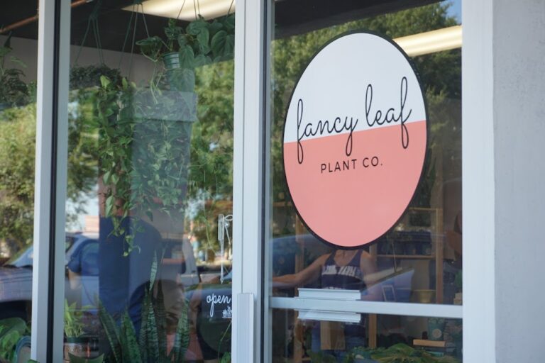 Fancy Leaf Plant Co