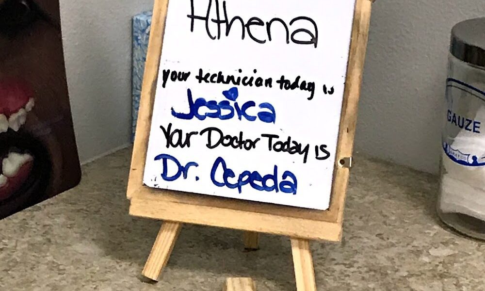 North River Animal Hospital