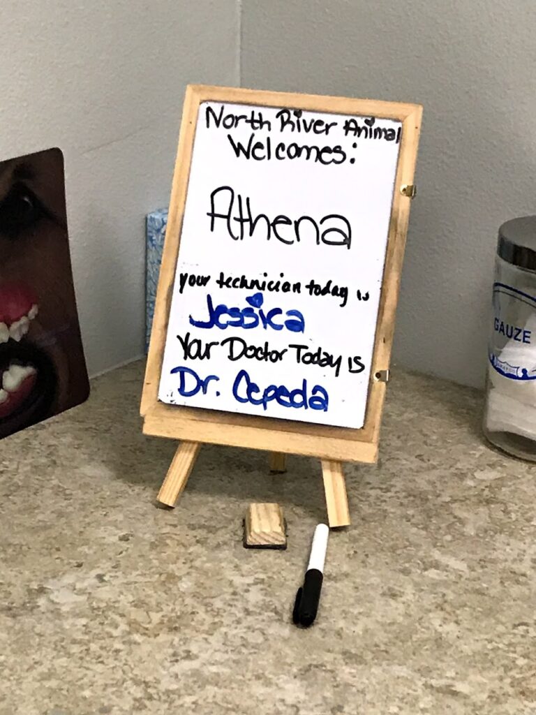 North River Animal Hospital